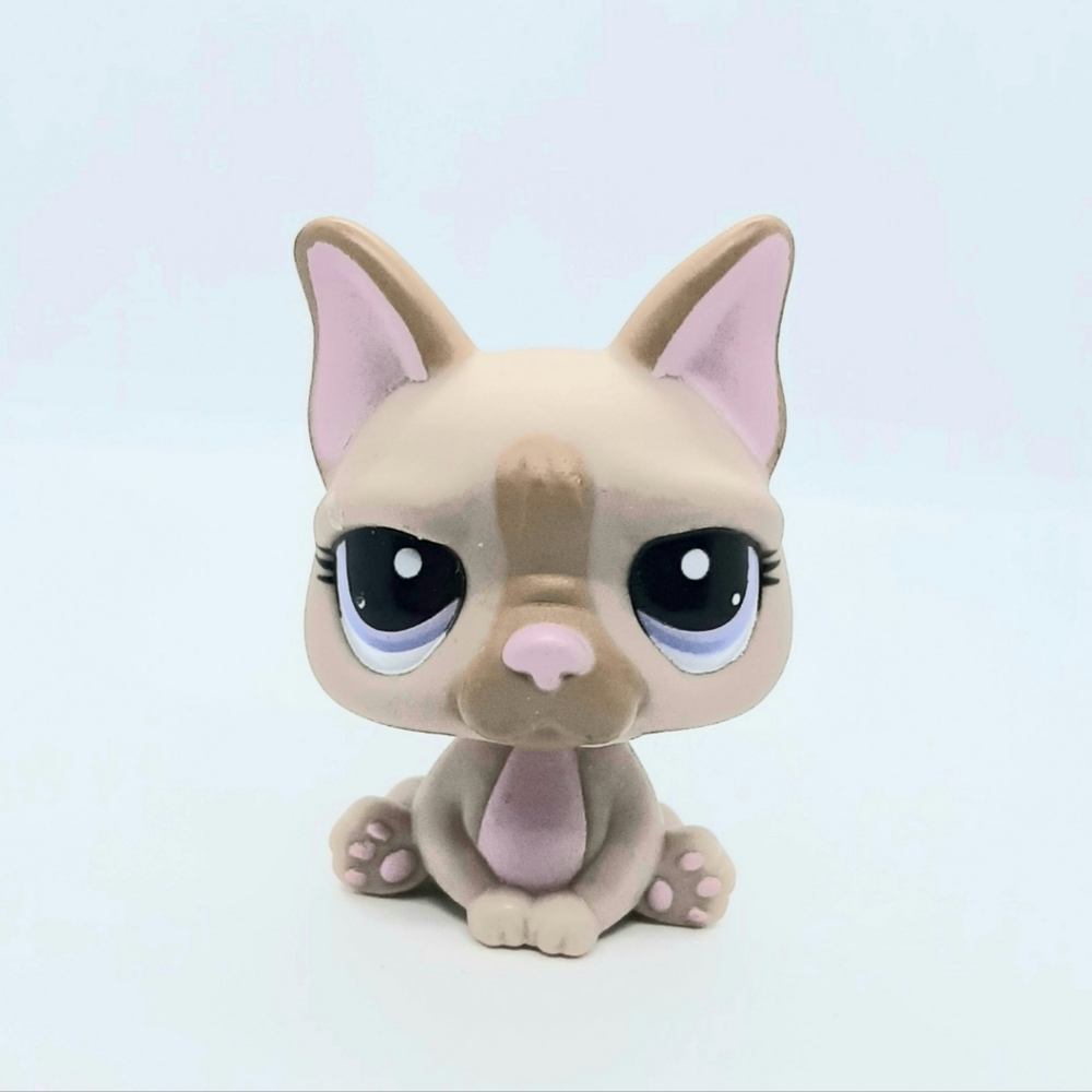 Littlest pet shop french bulldog (LPS)